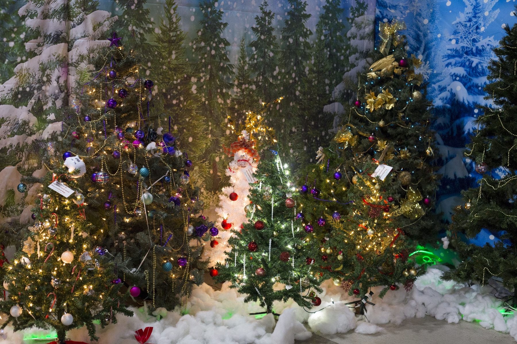 Decorated sponsored Christmas trees at Christmas Time